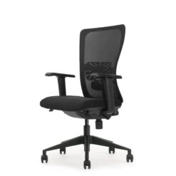 Bureaustoel serie 250 NEN